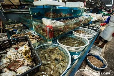 廣東多地海鮮檢出禁用藥物，愛(ài)吃魚蝦需警惕食品安全隱患