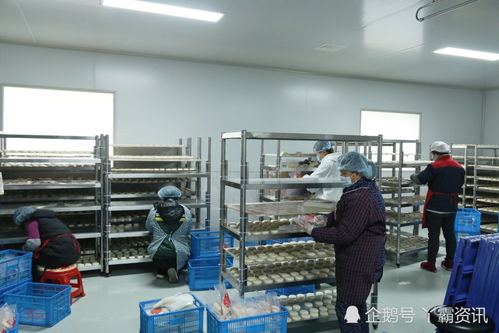 糍粑土貨搭電商快車出大山——獨山電商農產品加工中心的轉型之路