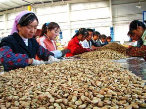 廣西農產品加工集聚區發展規劃 2020年前的產業布局與目標