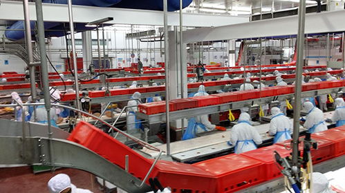 農業人2018年千萬別做這6件事，否則在農產品加工領域會輸得很慘