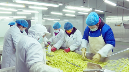 蘭西特色農(nóng)產(chǎn)品 從田間走向全國(guó)，農(nóng)產(chǎn)品加工撬動(dòng)產(chǎn)業(yè)升級(jí)