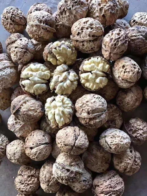 農(nóng)產(chǎn)品加工 連接農(nóng)業(yè)與工業(yè)的橋梁及其發(fā)展前景