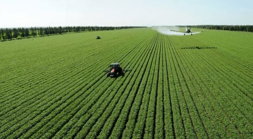 唐華俊院士 智慧農(nóng)業(yè)賦能農(nóng)產(chǎn)品加工，推動(dòng)農(nóng)業(yè)現(xiàn)代化高質(zhì)量發(fā)展